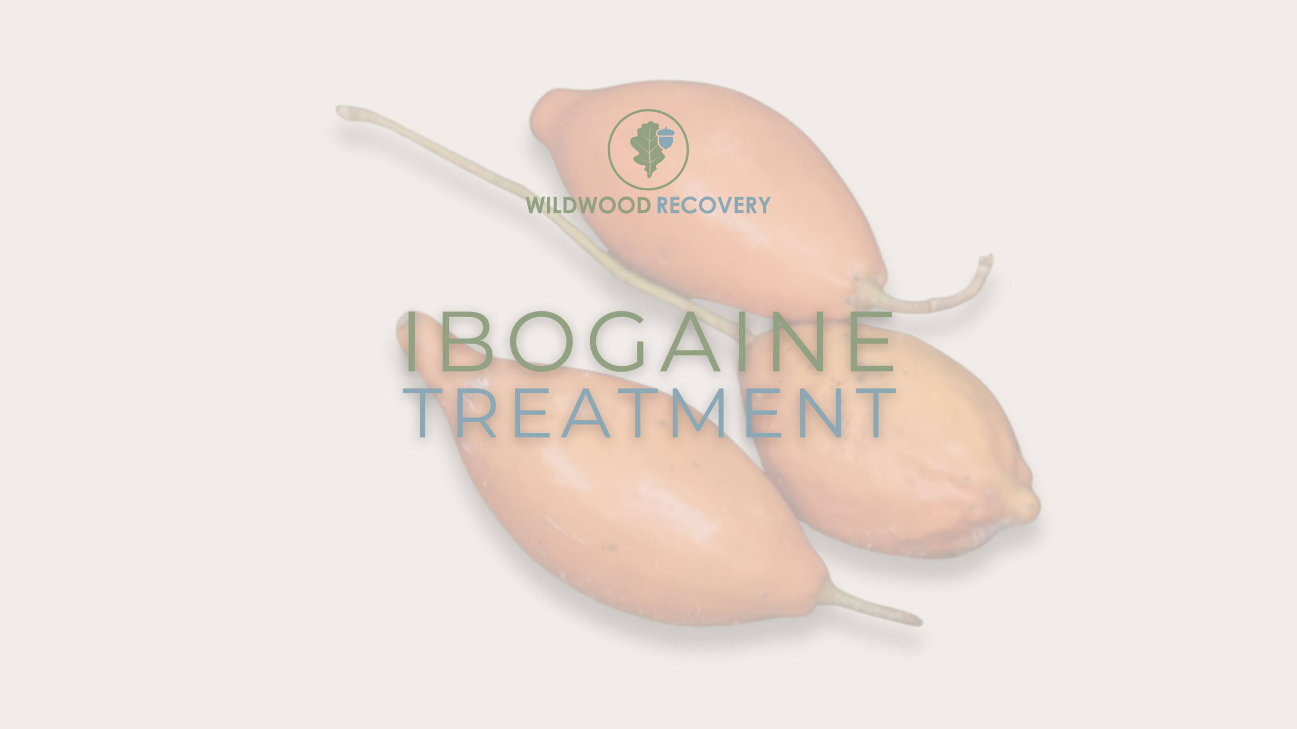 ibogaine treatment for opioids wildwood