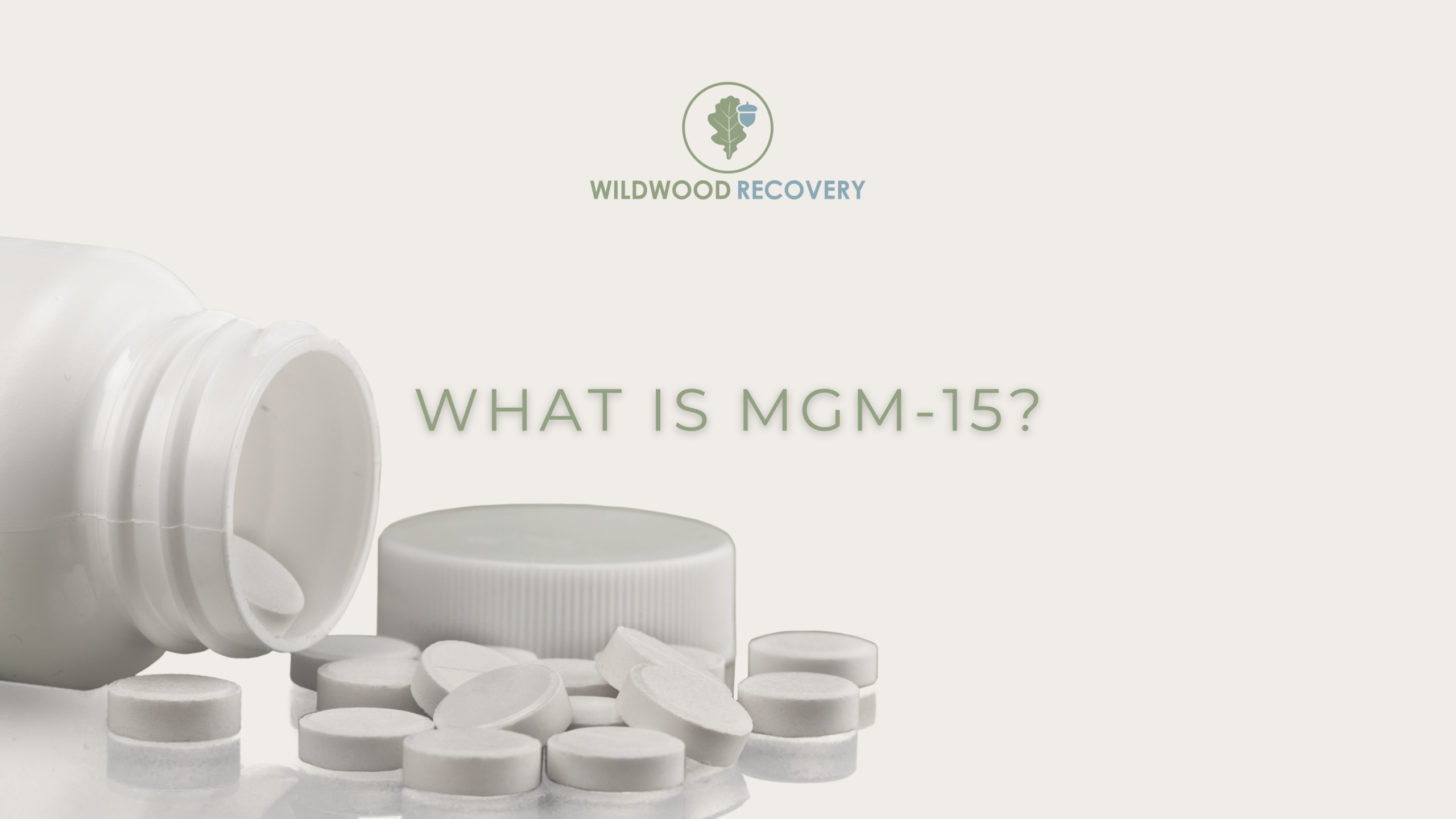 MGM-15 7-OH derived Synthetic Opioid