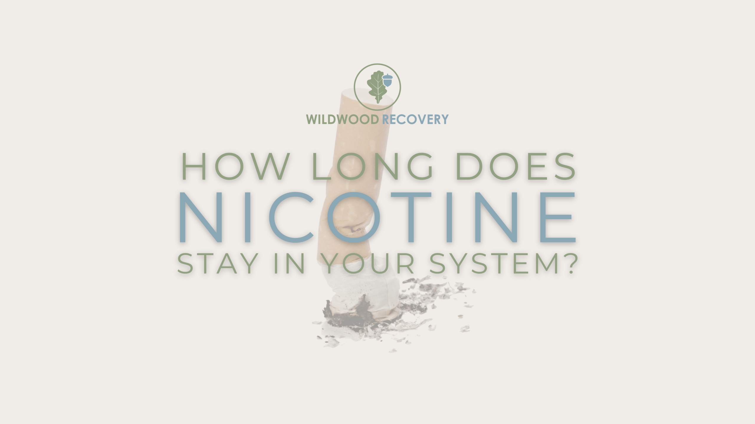 nicotine half-life blog wildwood