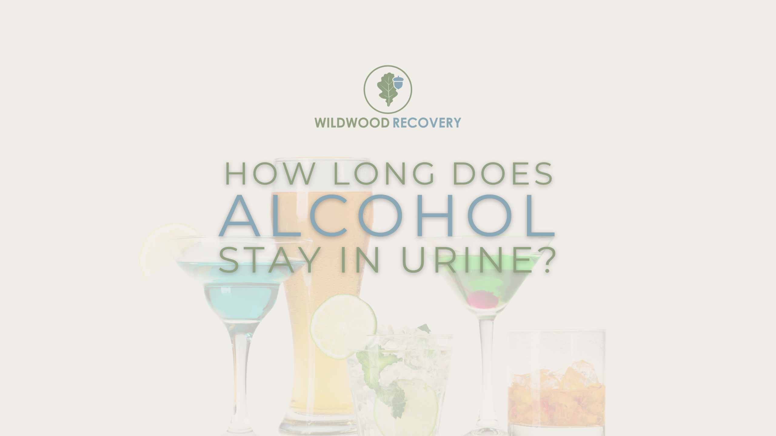 blog about alcohol detection in urine screening on wildwood recovery's resource blog