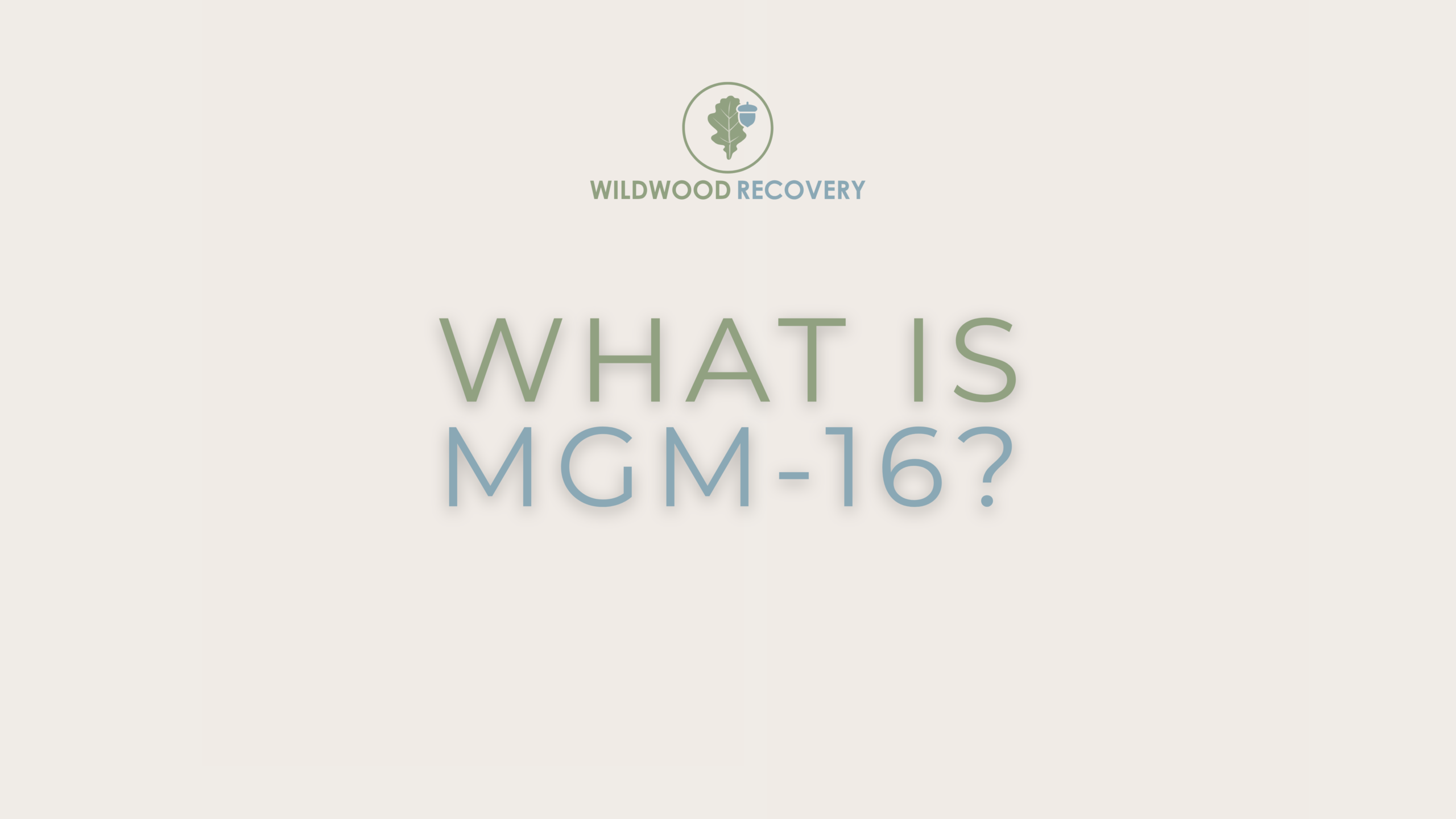 what is mgm-16